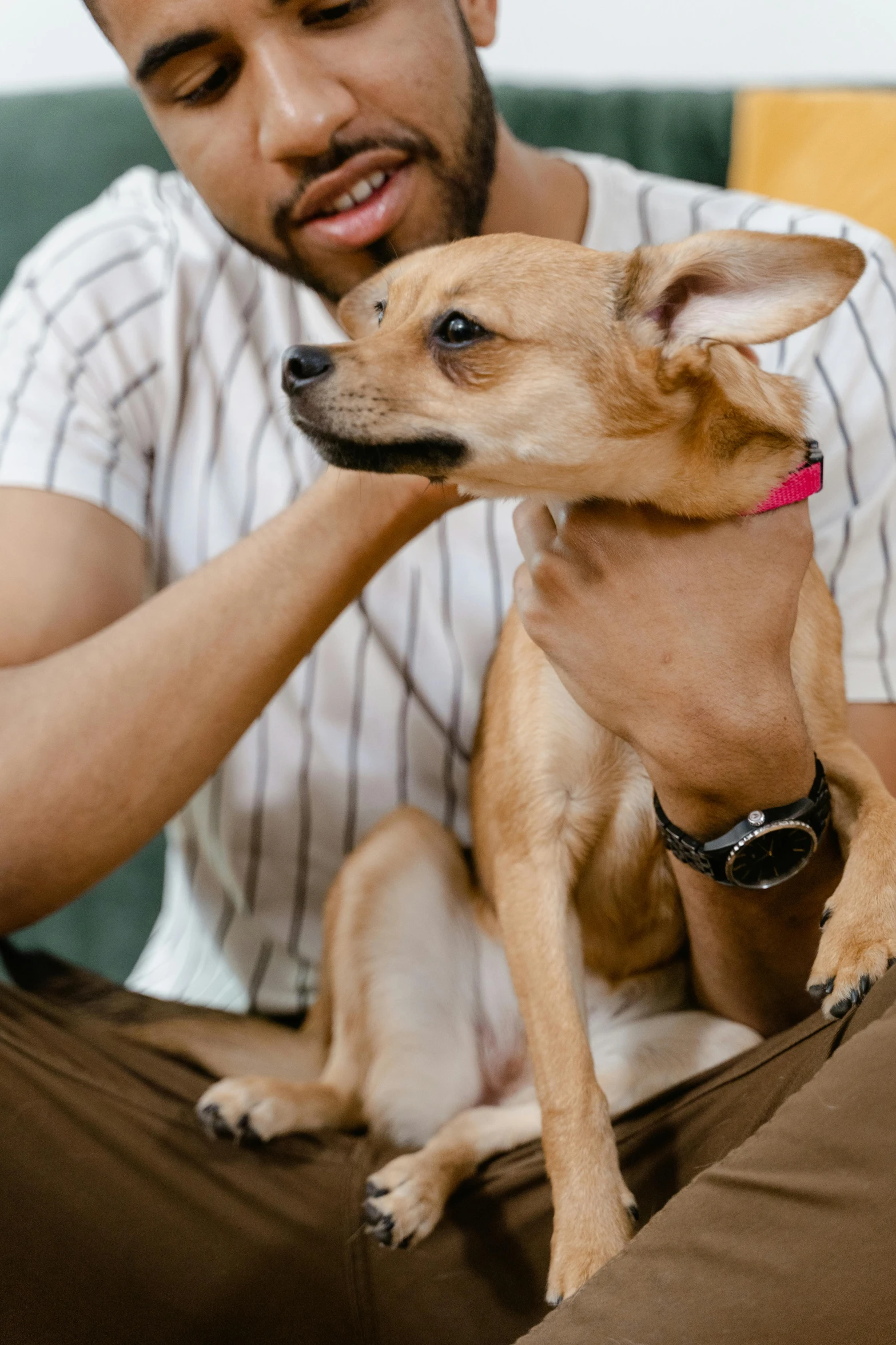 a man pets a small dog on the chest