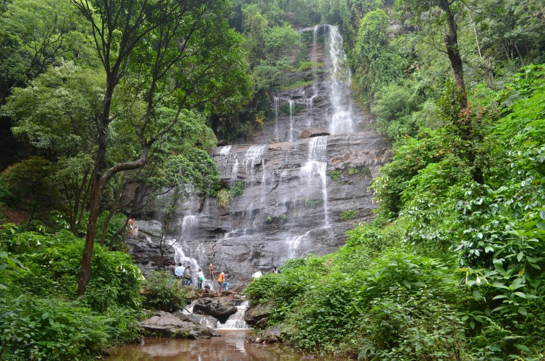 there is a waterfall surrounded by lush green trees