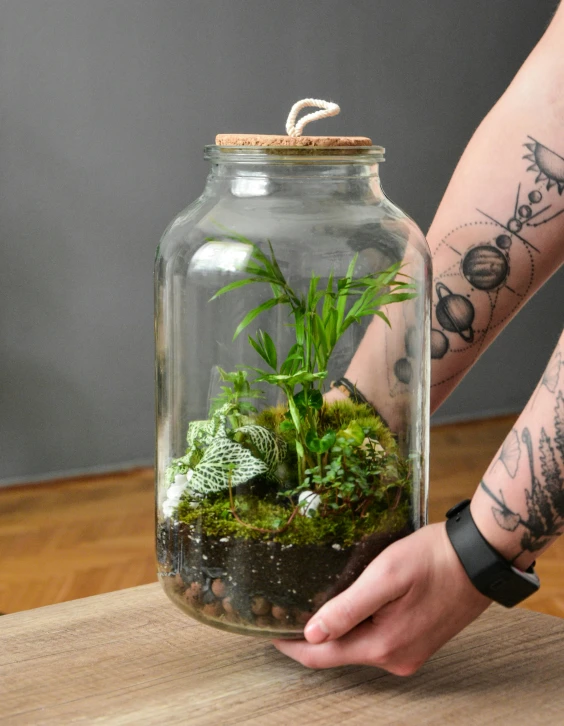 a person holding a glass jar containing plants
