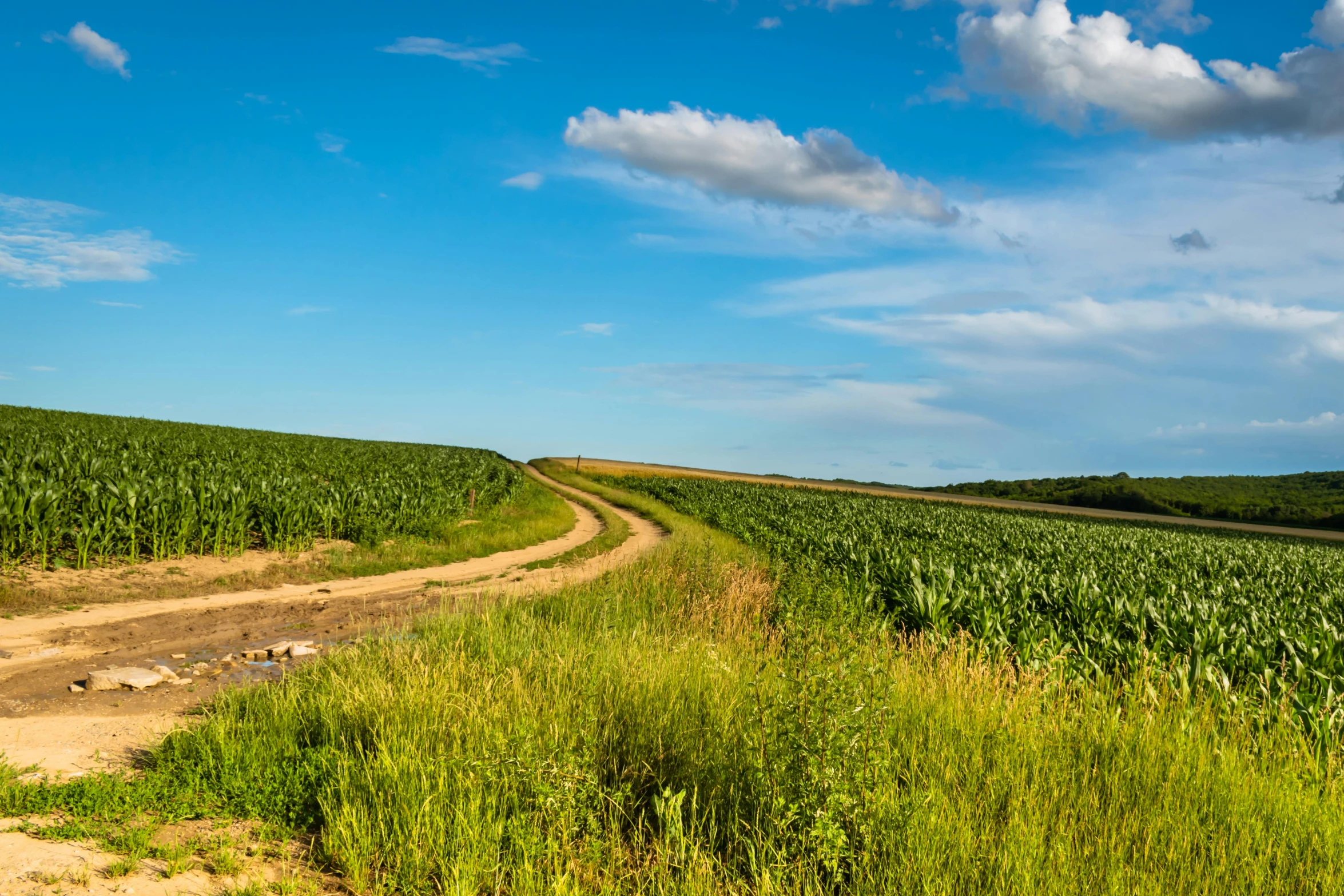 a road winding through a field near an over pass