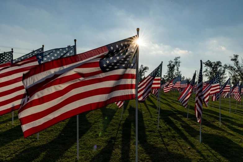 the sun is shining behind a bunch of american flags