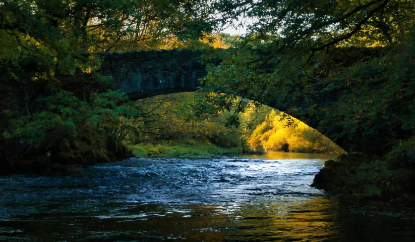 a bridge crosses over the river, and is lit by sunlight