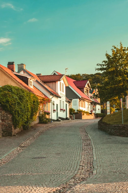 a brick paved road near many different colored homes