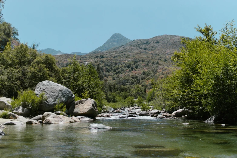 a small stream with rocks near a grassy field and mountains in the distance