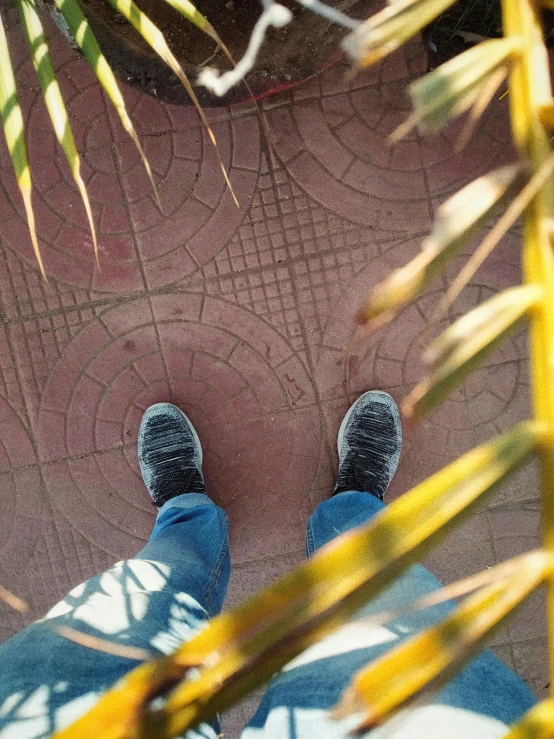 person standing at bottom of palm tree next to walkway