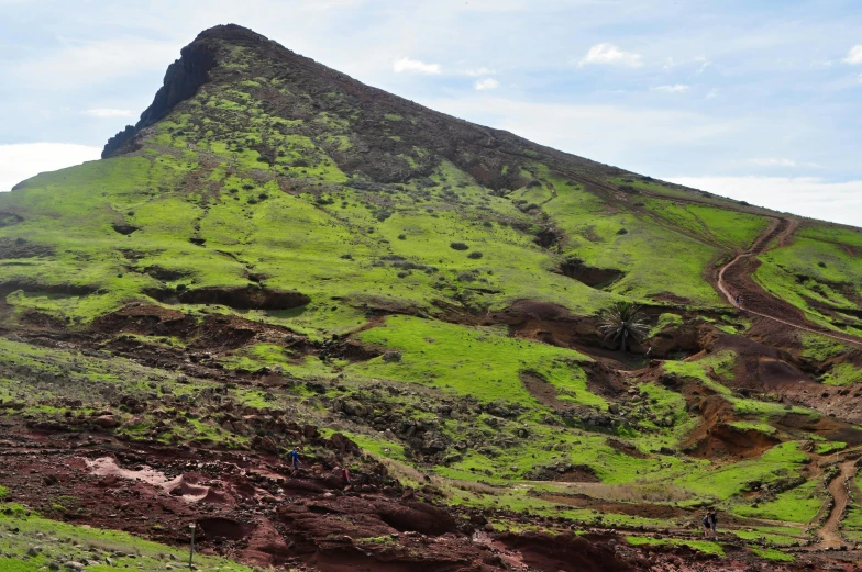 a big hill with a little patch of dirt