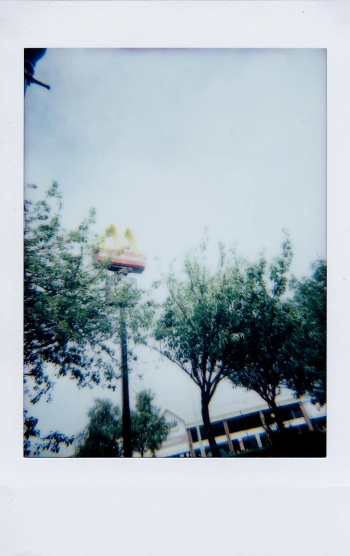 an old po of trees and an airplane in the sky