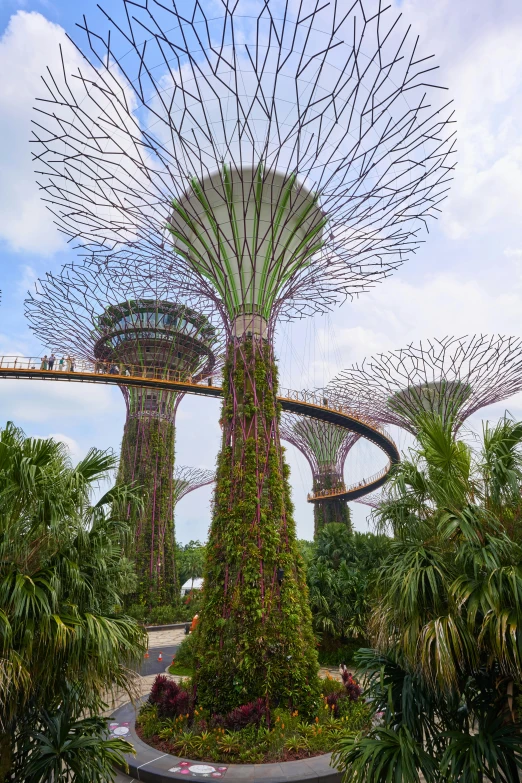 a large tree that is inside of a building