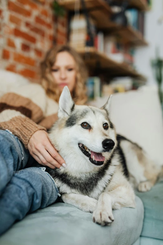 woman petting a dog on the arm of the couch