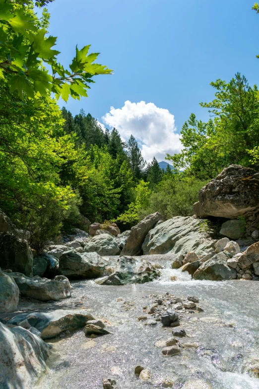 a mountain stream surrounded by rocks and trees