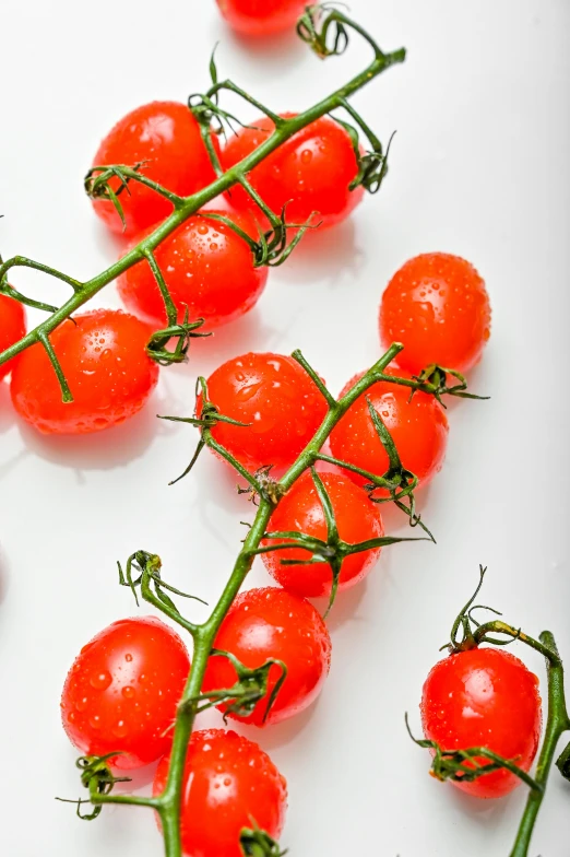 tomatoes on stem on white surface with drops of water