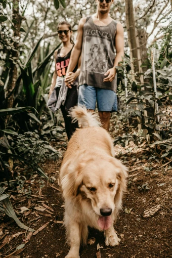 two people walking a large dog in the woods