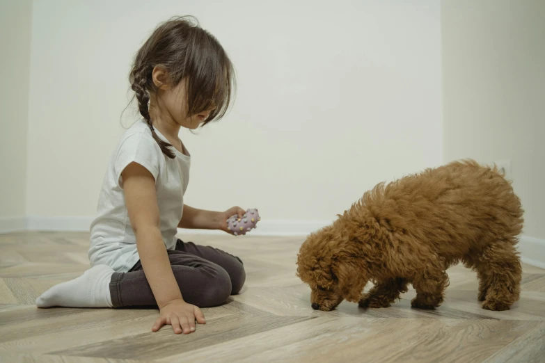little girl playing with dog while sitting on hardwood floor
