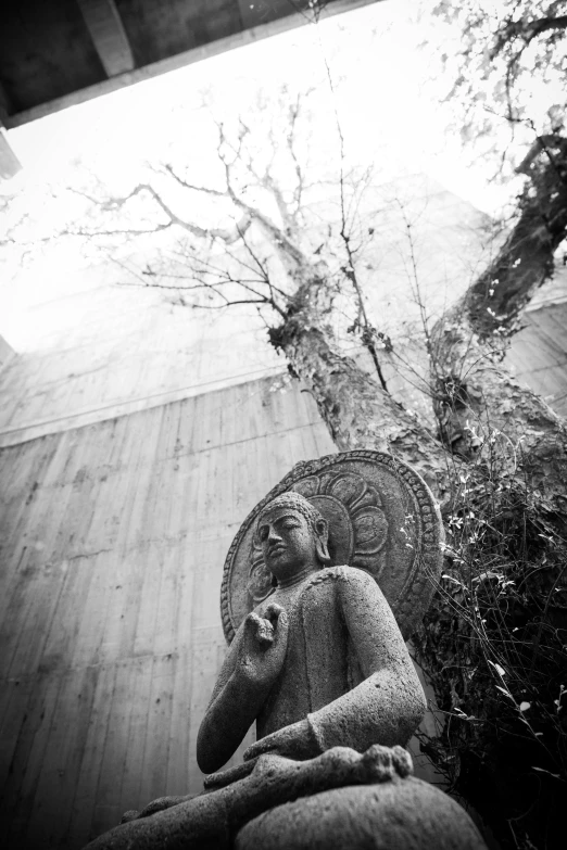 a buddha statue is facing a tree in black and white