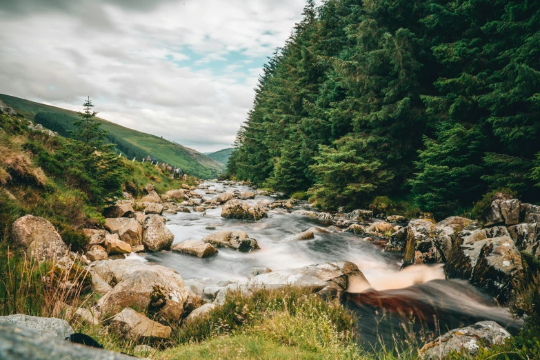 a river that has rapids in it and surrounded by trees