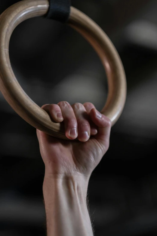 a hand holding onto a circular object with wooden handles