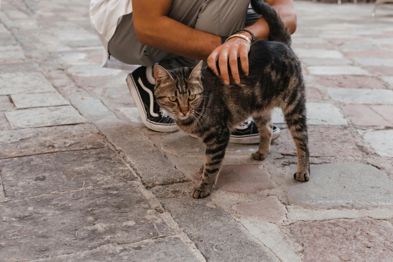 a man is sitting down next to a cat
