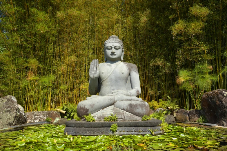 a large buddha statue in the middle of a lake