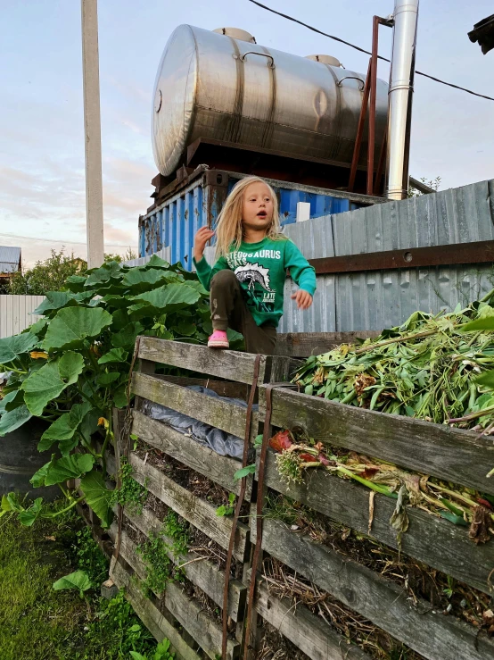 a  on top of a wooden fence