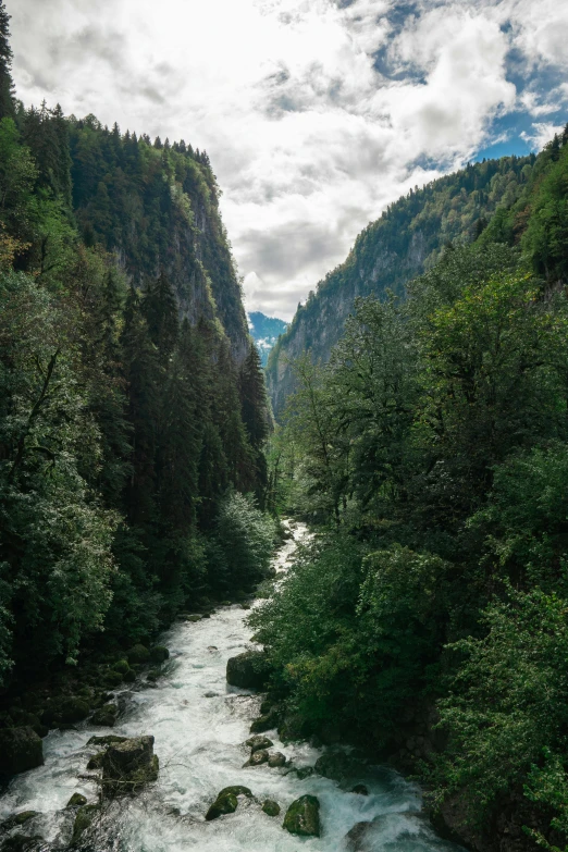 a stream running through lush green forest covered hillside