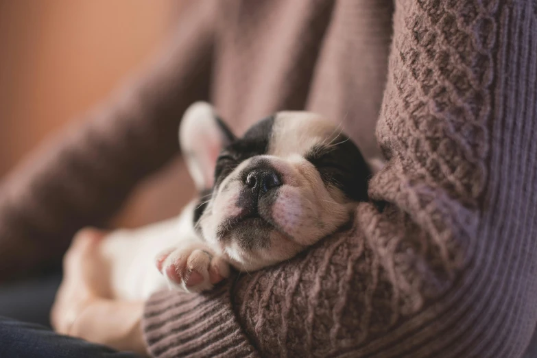 a dog is sleeping on its back in the persons arms