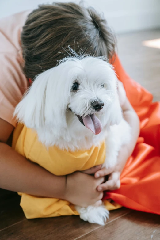 a woman holding a white dog on her stomach