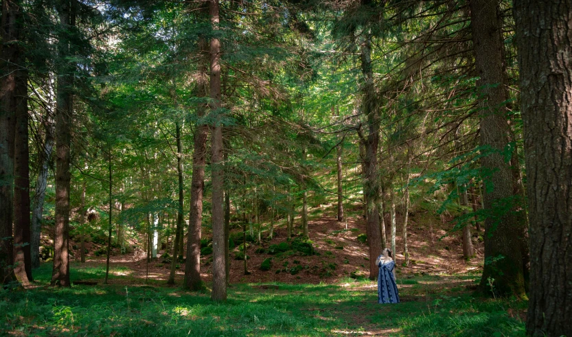 a  standing in the middle of the forest