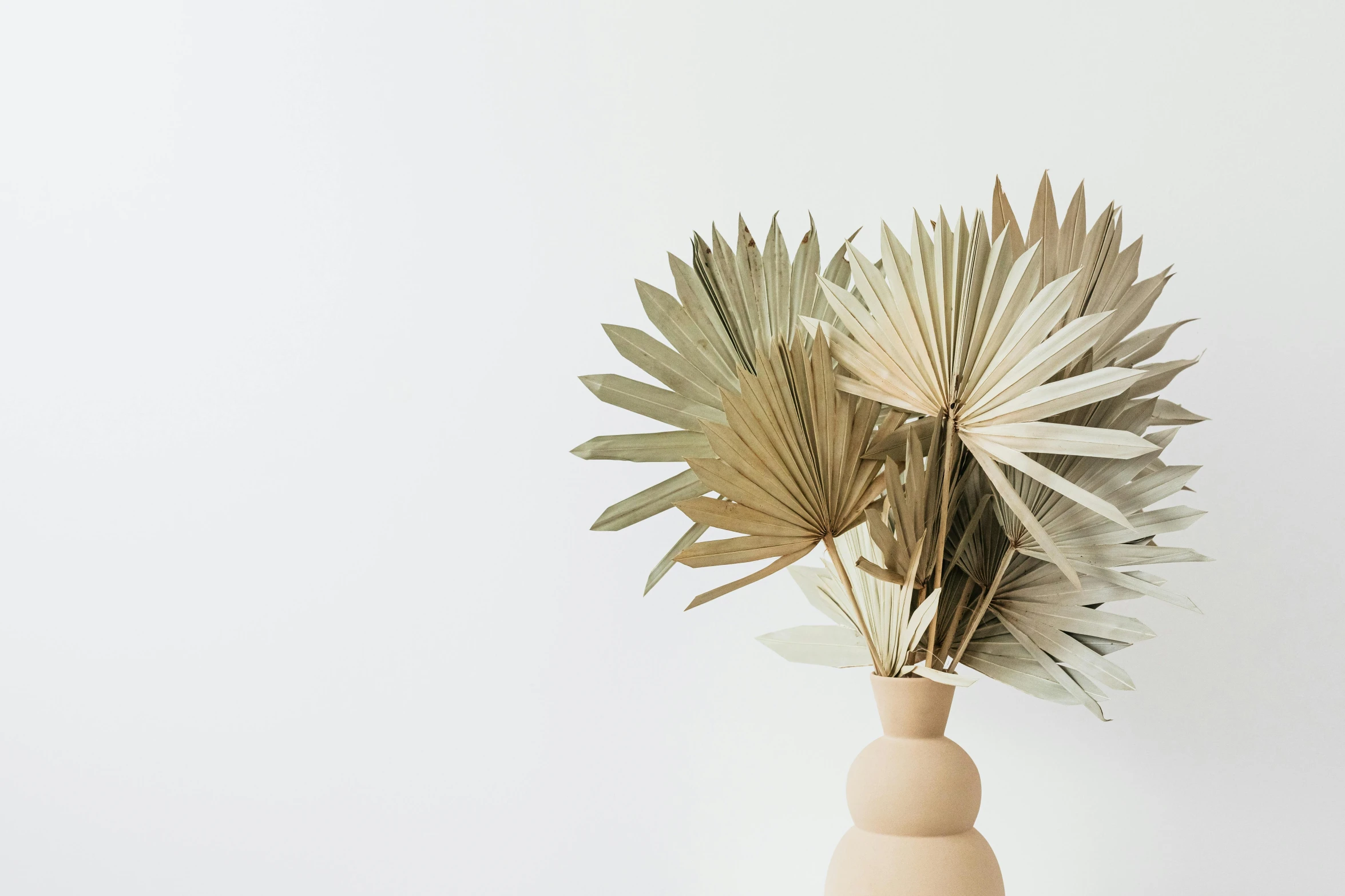 some plants are placed in a cream colored vase