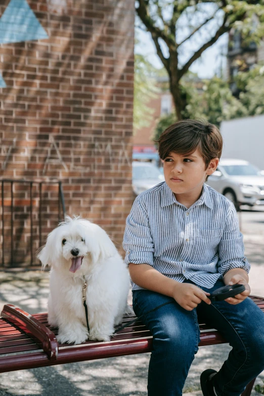 a boy sitting on top of a red park bench with his dog