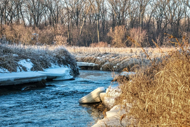 frozen river with trees along the shoreline and snow on the rocks