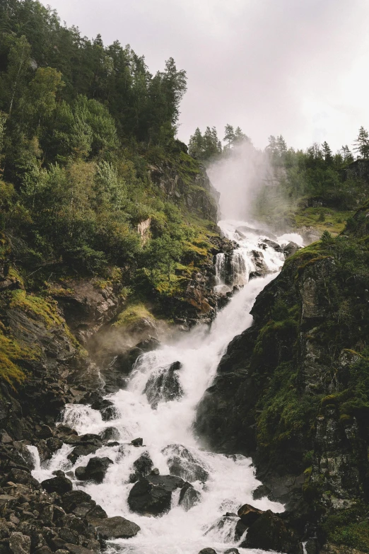 water tumbling over rocks and moss in the forest