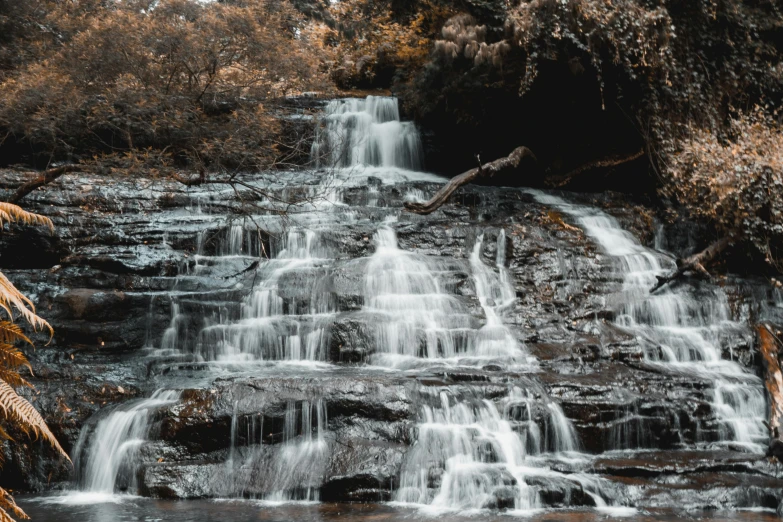 a waterfall surrounded by leaves on the side of it