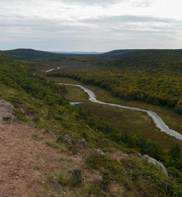 a scenic view over an area with many trees