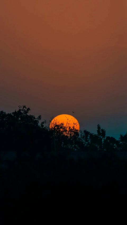 the moon is shining brightly as it sits above trees