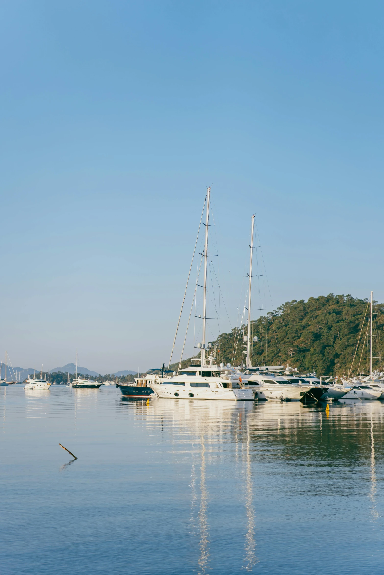 a harbor full of boats, a bird and some hills