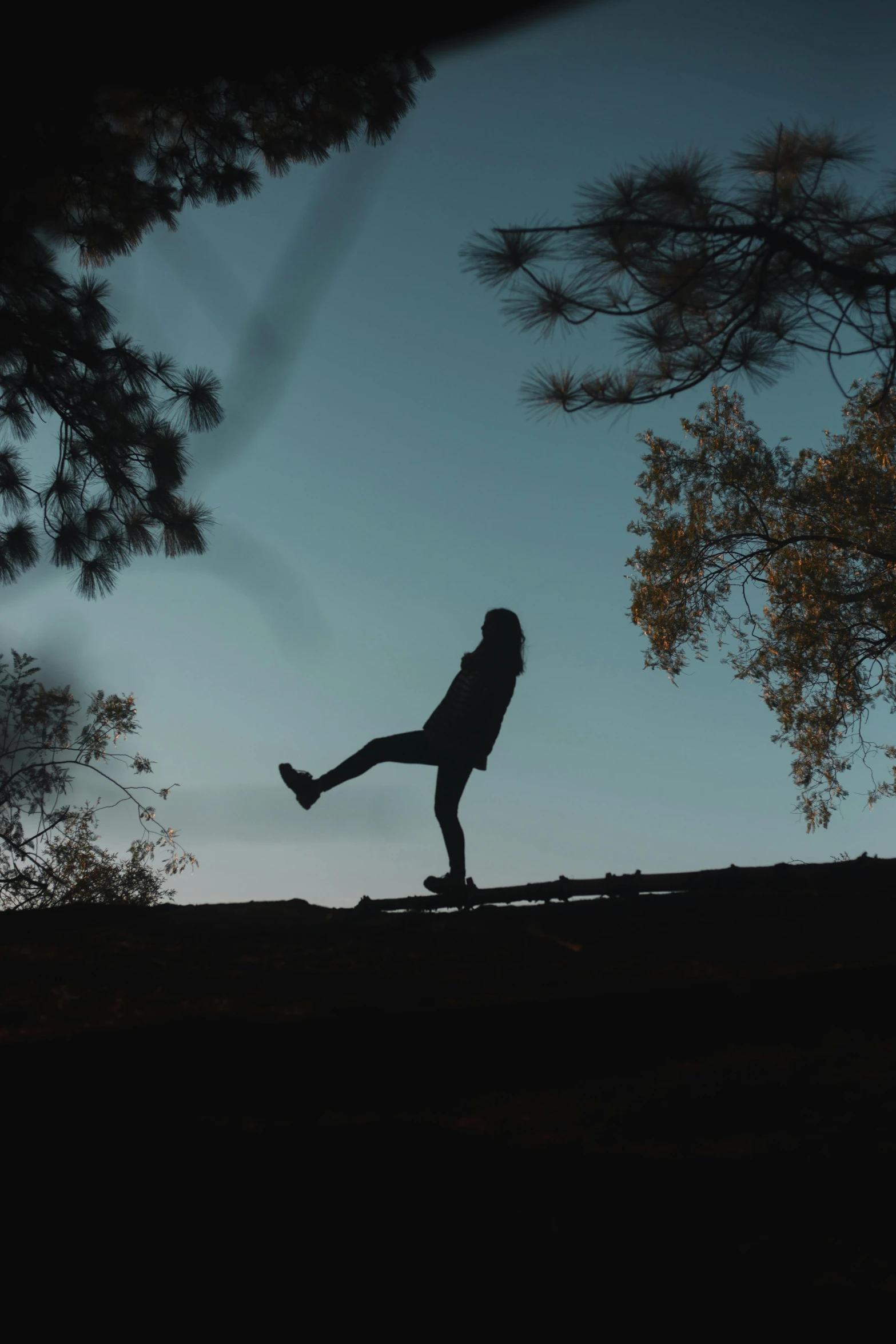 silhouette of a woman riding on the edge of a hill