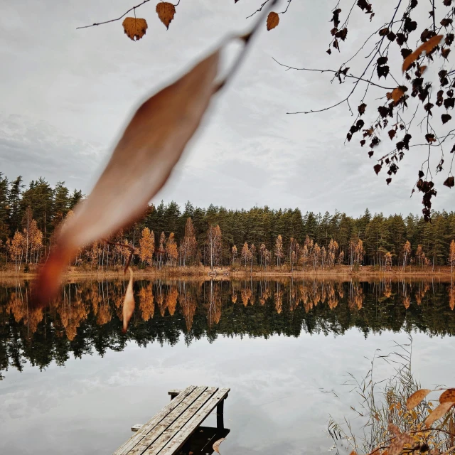 a leaf is falling off of a bench over a lake