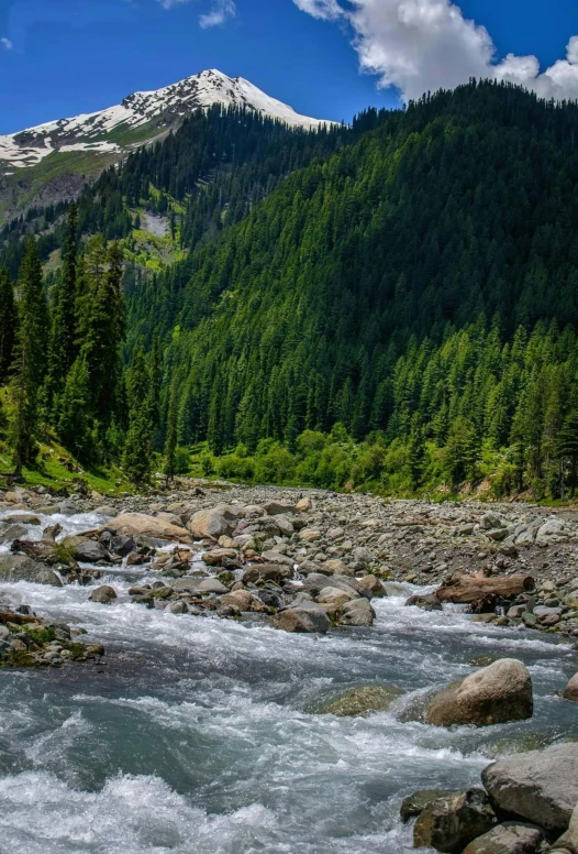 a river that has some rocks in it