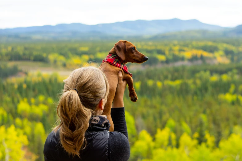 a woman with her back turned holds a dog up in the air