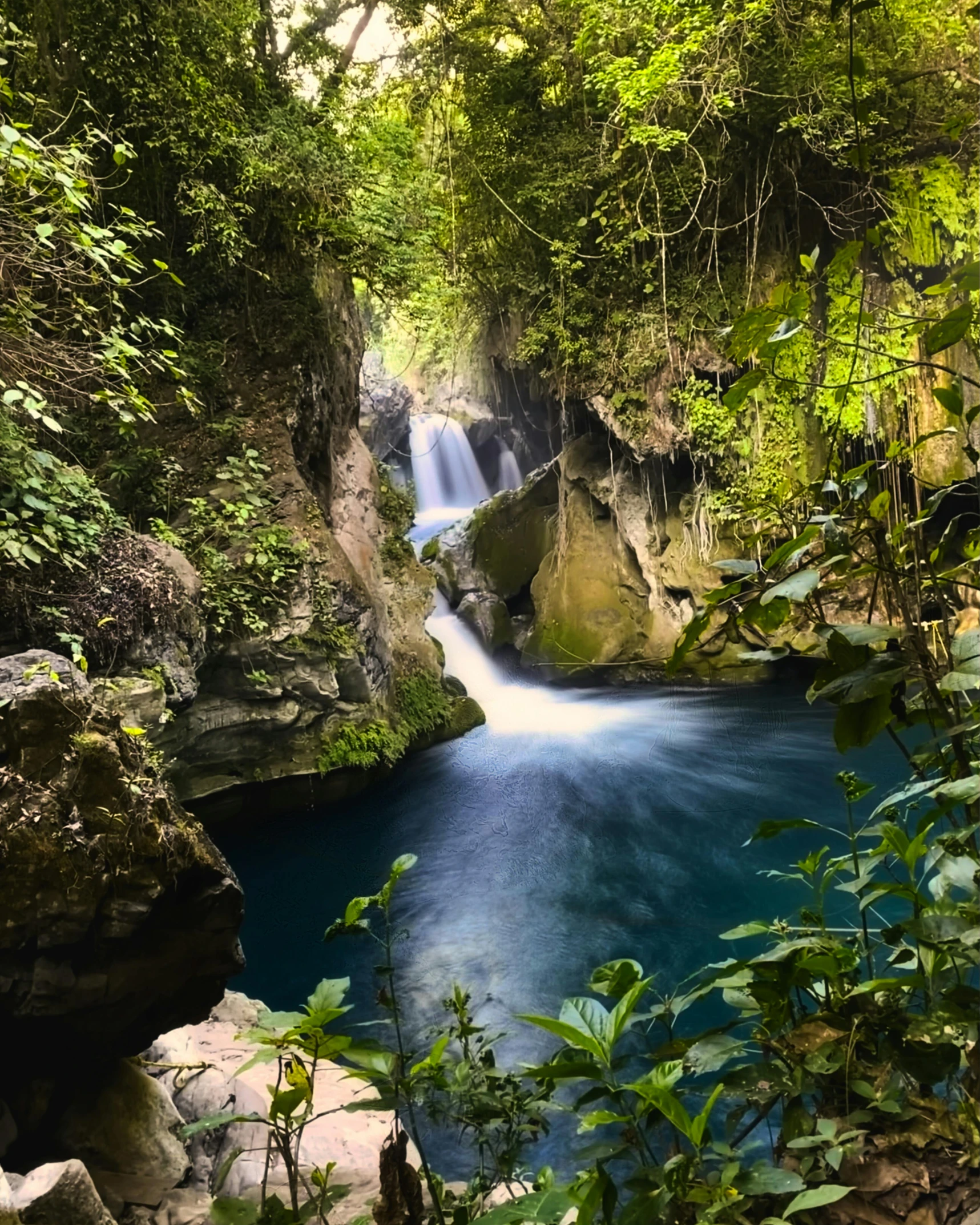 a very blue river flowing through some green trees