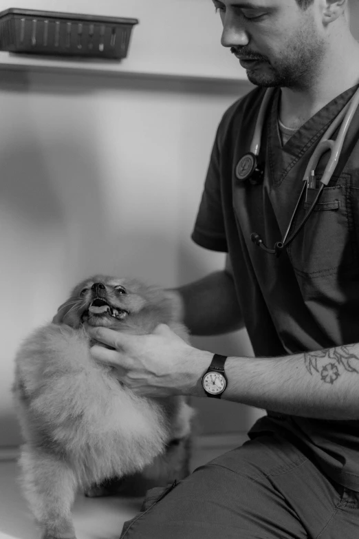 the man is grooming the dog's fur with a brush