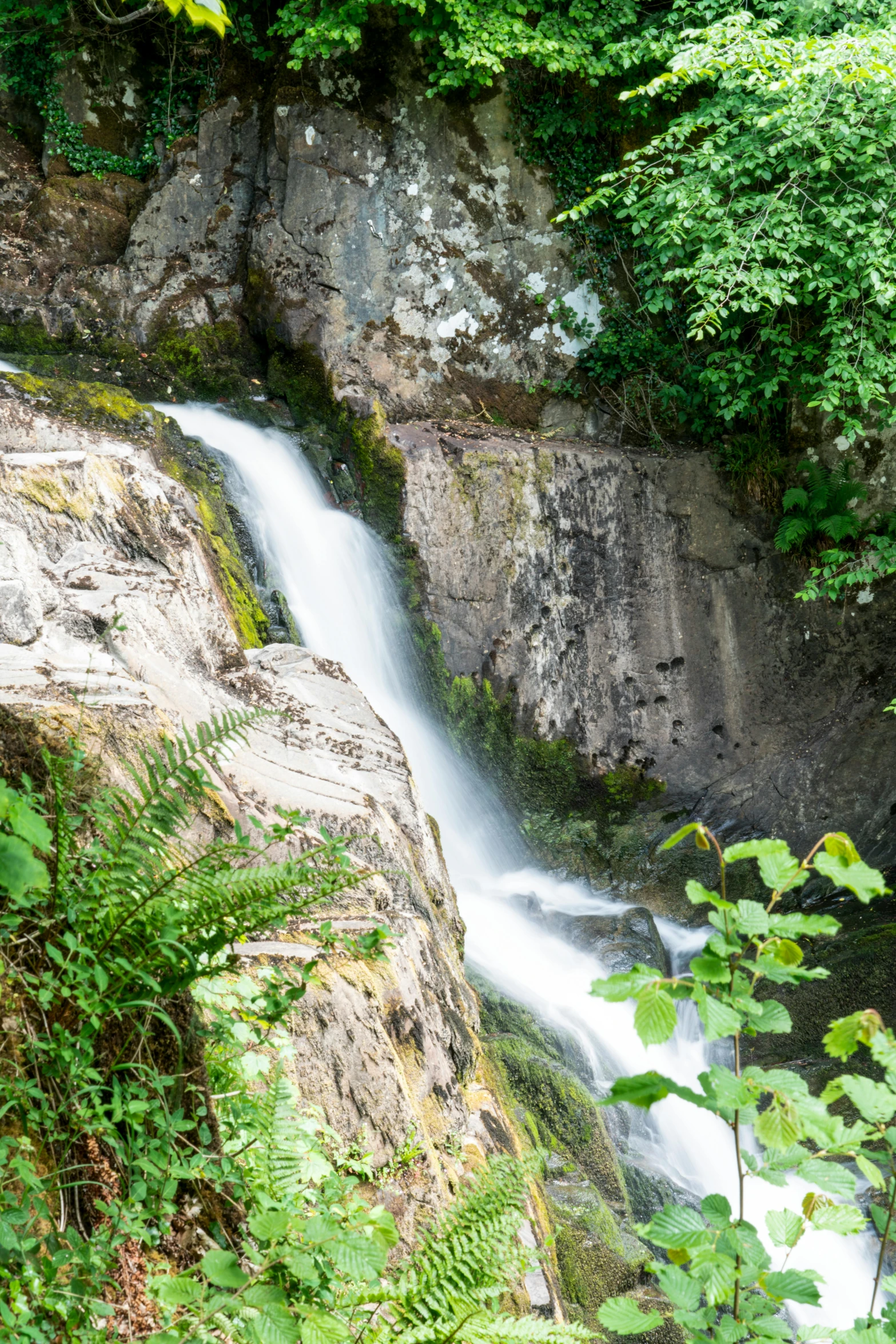 a waterfall with moss growing out of it