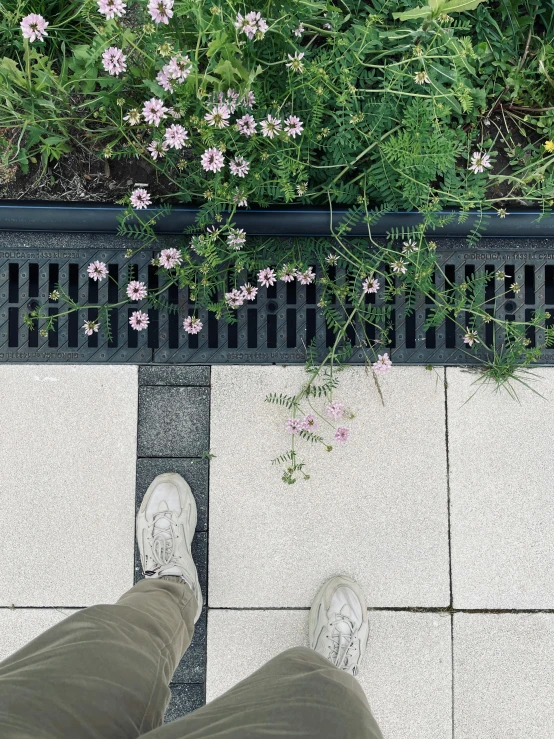 a view of someones feet, pants and plant on concrete ground