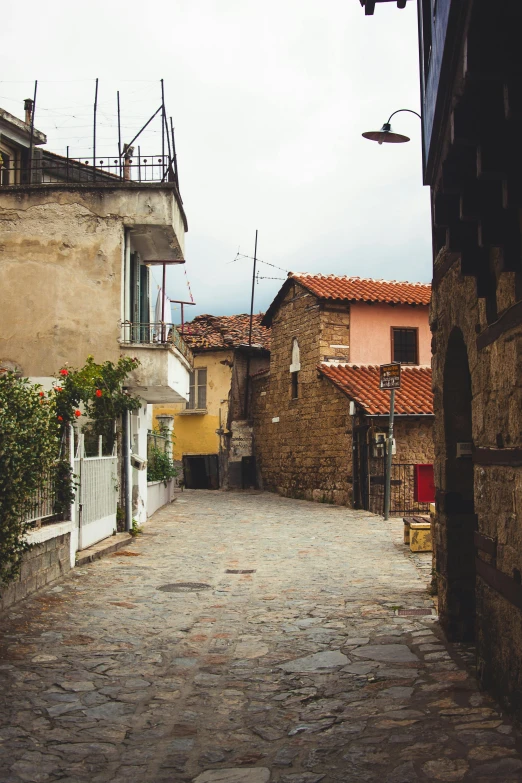 a stone street has buildings and potted flowers