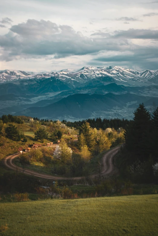 a view of mountains, trees, and grass from a distance