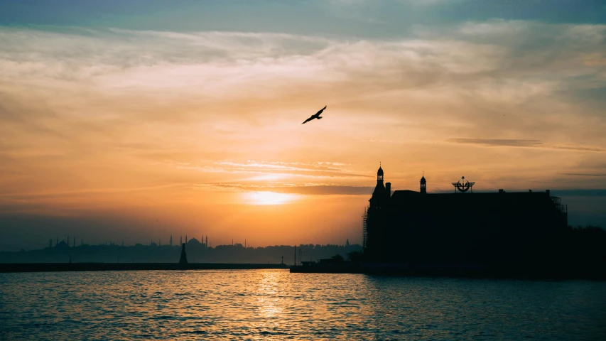 the birds are flying in the air during a sunset