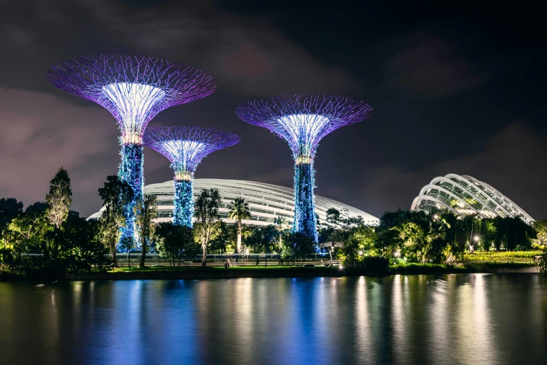 gardens in the sky and trees at night