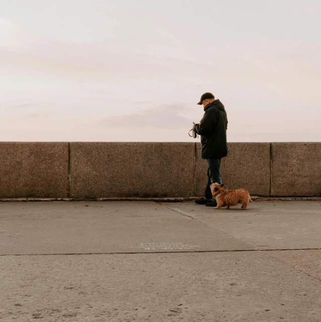 a man is walking his dog on the sidewalk