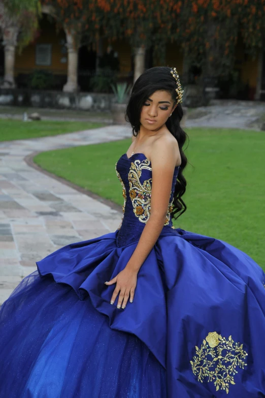 a  standing next to the grass wearing a bright blue gown