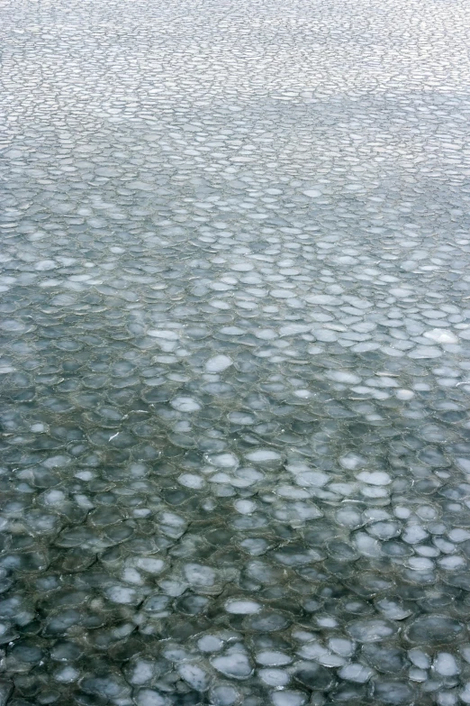 ice floating down into the water near land